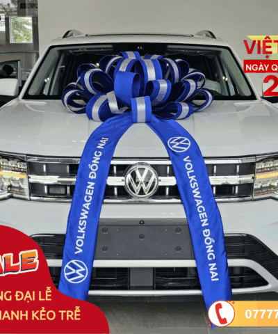 Volkswagen Teramont President