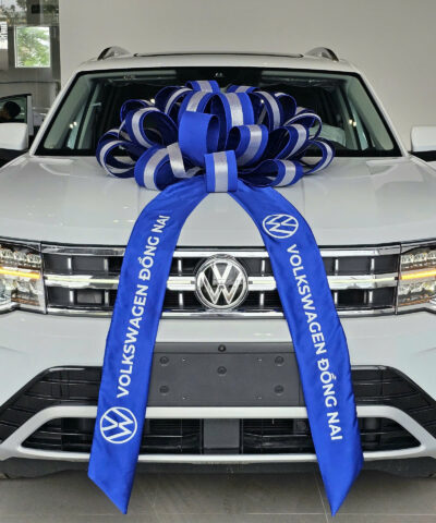 Volkswagen Teramont President